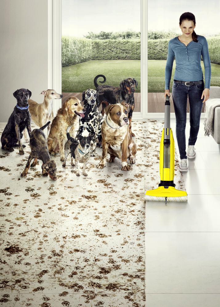 DON'T WORRY ABOUT PETS